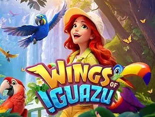 Wings Of Iguazu screenshot